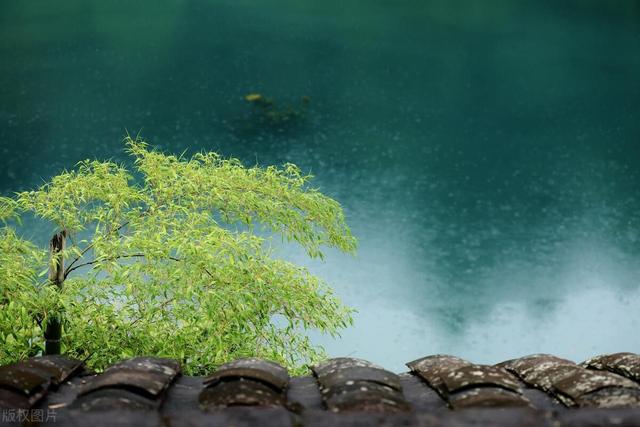 浮漂|夏钓潭真的通用吗？不要盲目钓深，这几种情况浅水才有鱼咬钩