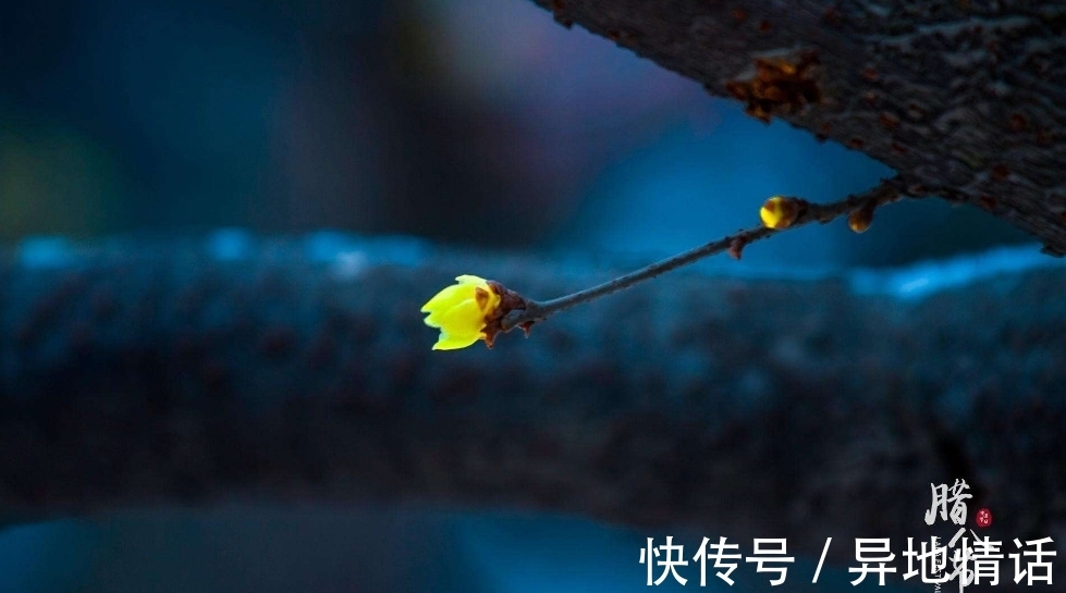 传统节日#诗词鉴赏-腊八｜十二首有关腊八的古诗词，带给你不一样的腊八节