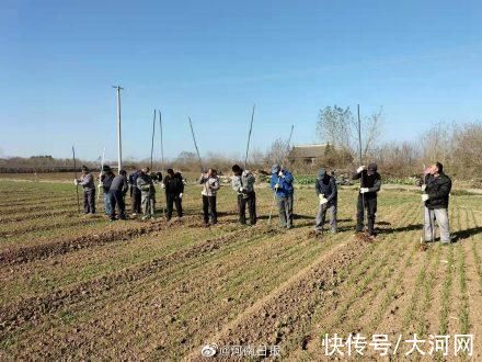 祭祀坑#河南殷墟王陵区新发现460多座祭祀坑