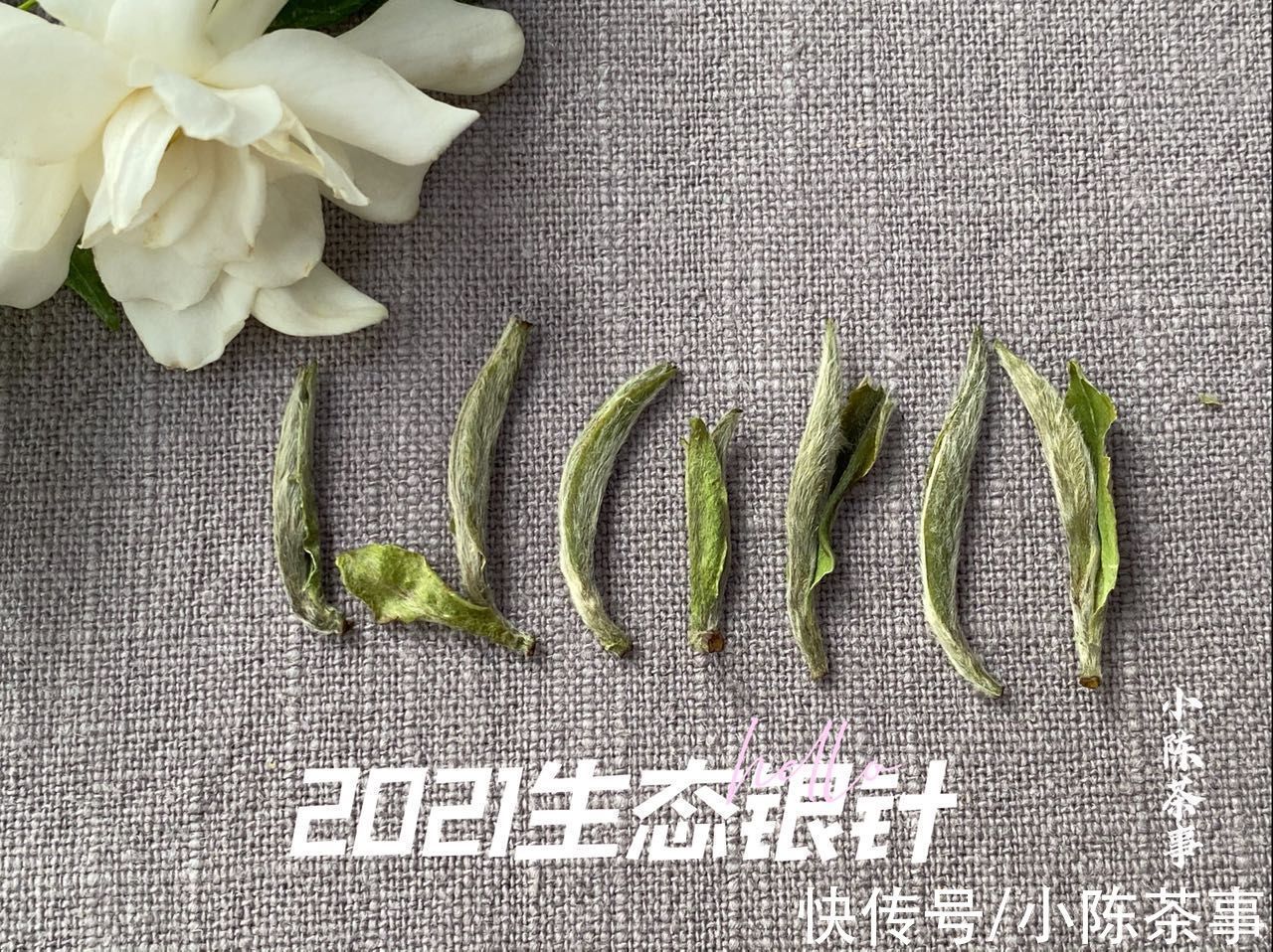 白茶！六大茶类的划分标准，白茶、绿茶、红茶、黑茶，是靠颜色划分吗？