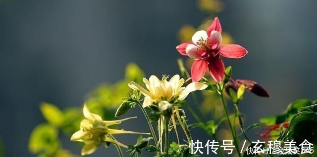 春有百花秋有月！宋代高僧一首唯美禅意诗，道出人生快乐本质，心情沮丧时读读它！